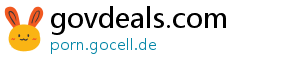 govdeals.com